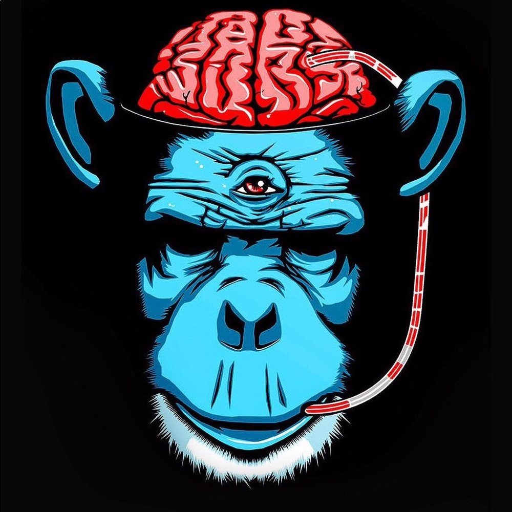 Meet your Posher, Johnathan